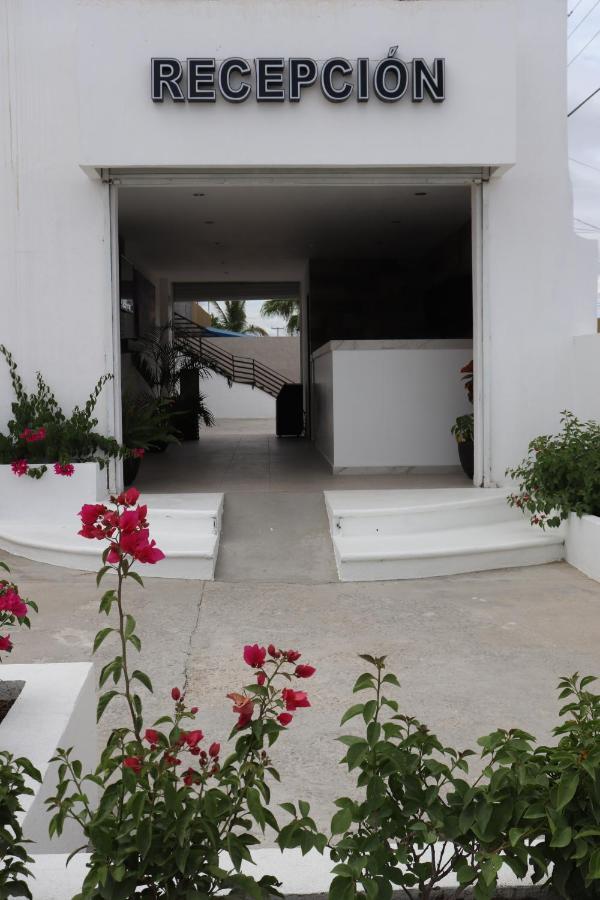 Hotel Jazuli San José del Cabo المظهر الخارجي الصورة